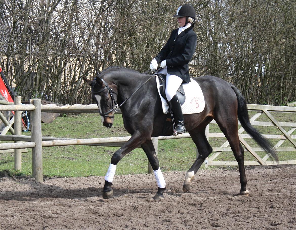 Oldenborg Rosenhavens Madok - stævne <3 billede 14