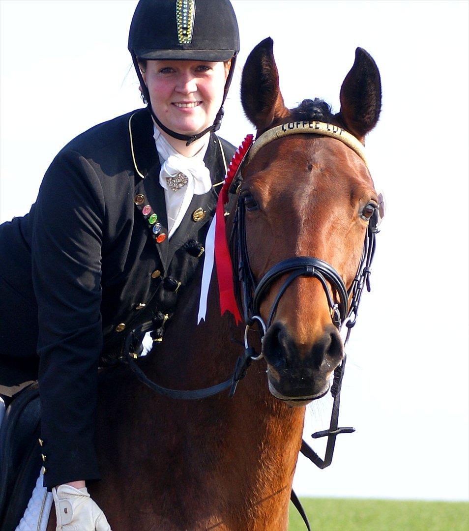 Dansk Varmblod Coffee Cup - Min engel billede 16