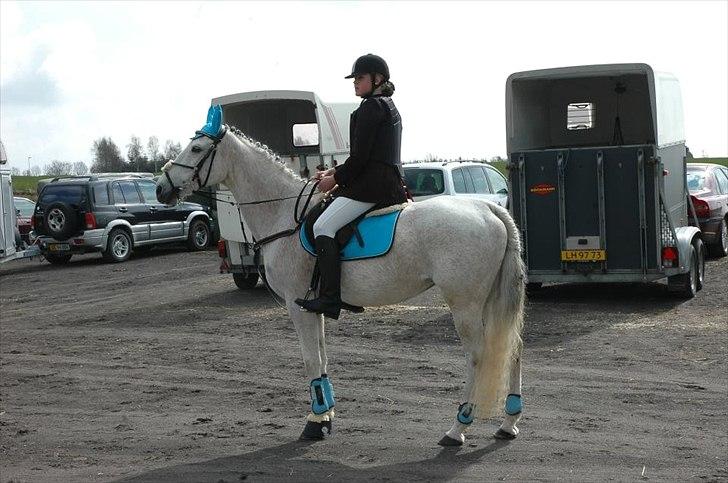 Anden særlig race Lindholms Silvermoon<3 - Stævne på Rosenholm - 2012 <3
 billede 8