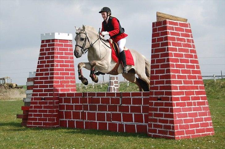 Fjordhest Hashagen's D-Mark - Velkommen til Dulle's profil! <3
Første gang han springer mur. Stævne d. 22/4-12 på RIR, prøvede nogle af deres spring på græs banen ((: billede 1