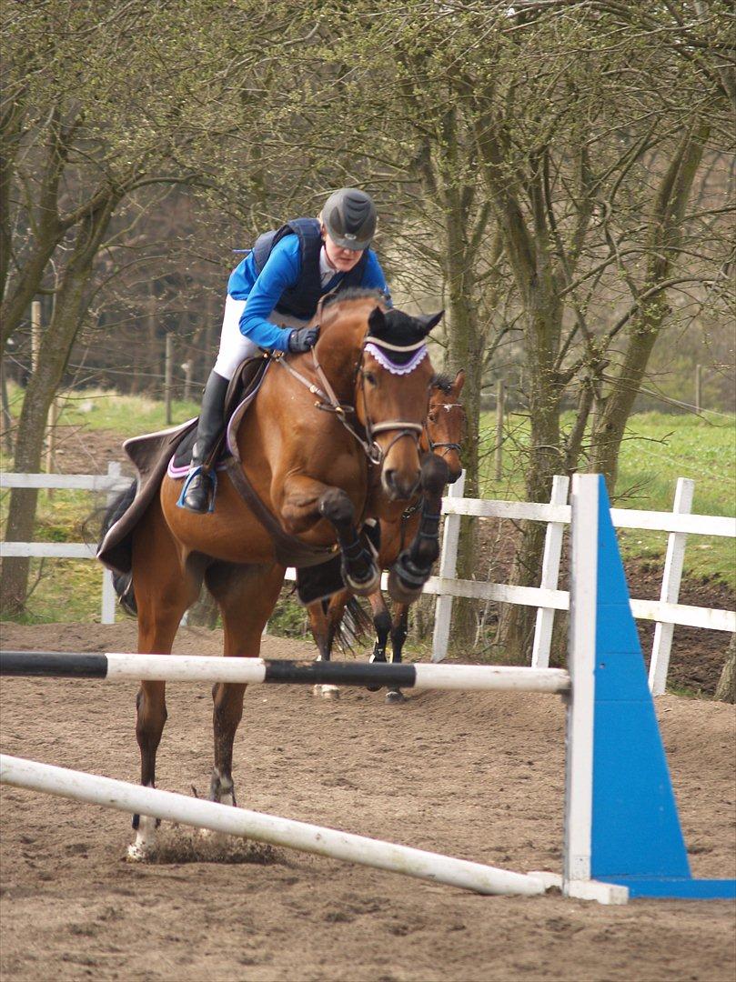 Hollandsk Varmblod Ruby's ursella - Camilla og ulle, deres første stævne!<3
 billede 2