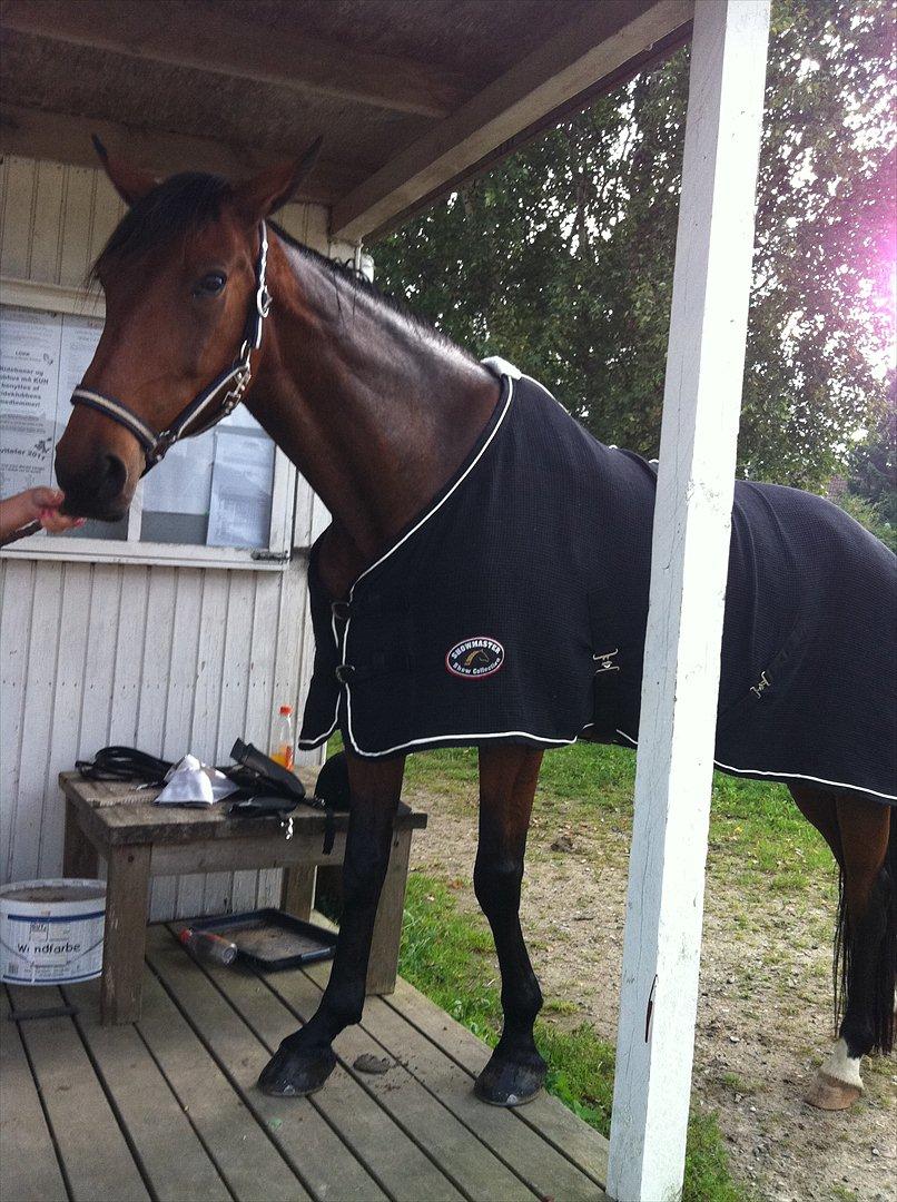 Traver Kenzo - My dream <3 billede 15