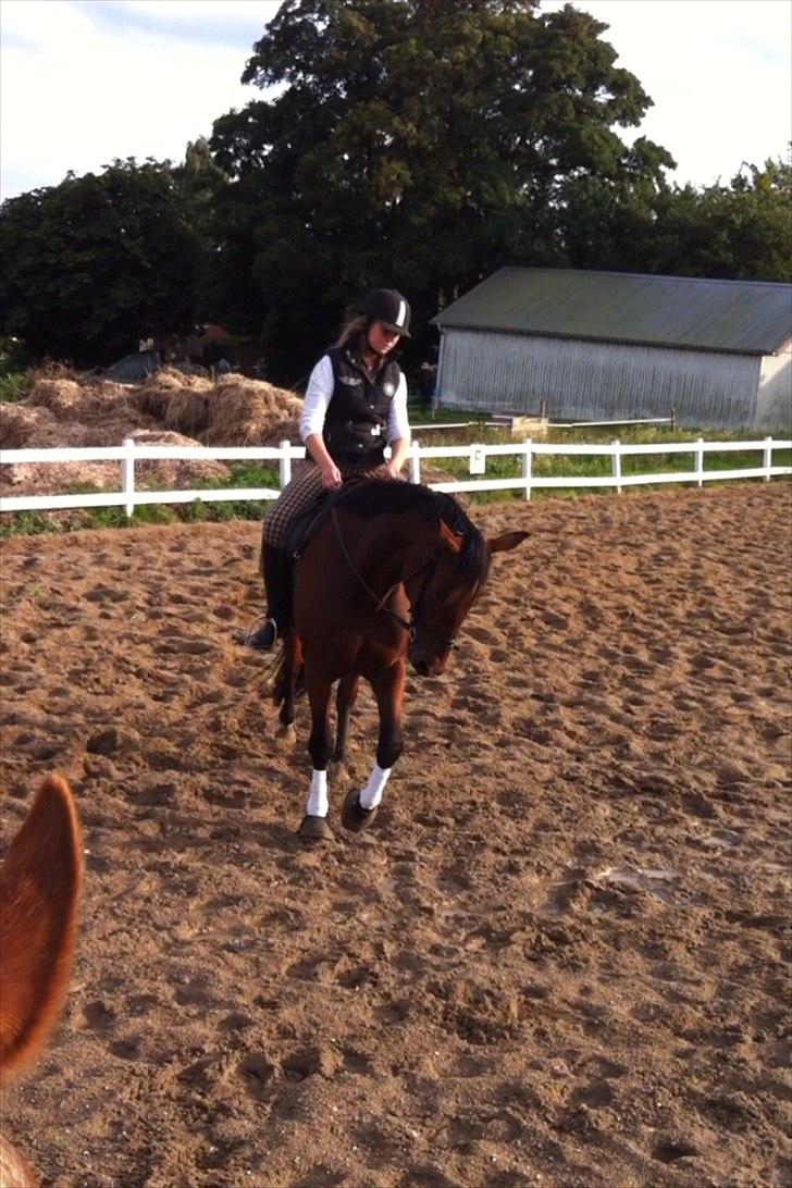 Traver Kenzo - My dream <3 billede 12