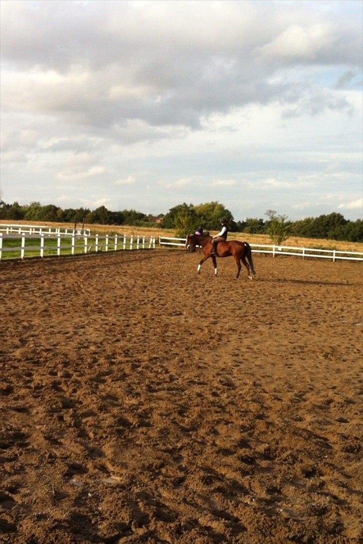 Traver Kenzo - My dream <3 billede 9