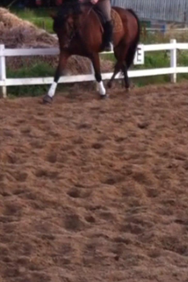 Traver Kenzo - My dream <3 billede 14