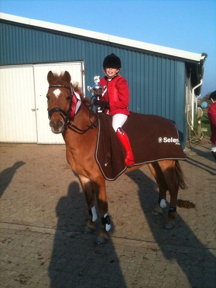 Hollandsk Sportspony Karamba - Naja og Karamba til deres første stævne sammen. med en sejr :-) billede 1