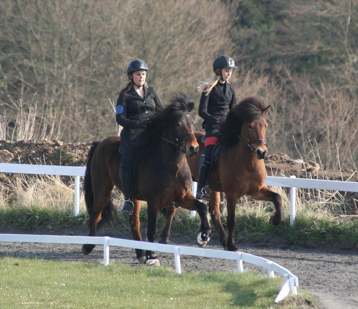 Islænder Lettir fra Skovbogaard - Lettir & jeg, sammen med Kari & Vanessa :-) Dyrdilmyri's Klubstævne April 2012 billede 16