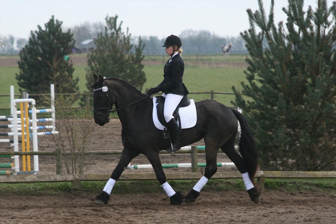 Frieser Jannete R - Stævne i SRLa (april 2012) billede 17