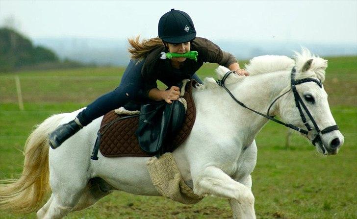 Anden særlig race Filur<3 - Hjørnely cup 2012
Verdens bedste! <3 billede 2