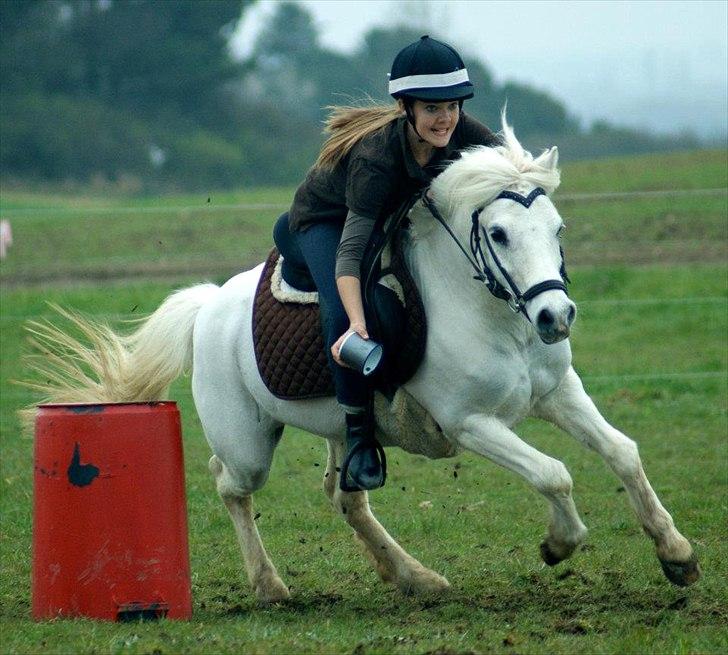 Anden særlig race Filur<3 - Hjørnely cup 2012
Filur! <3 billede 3