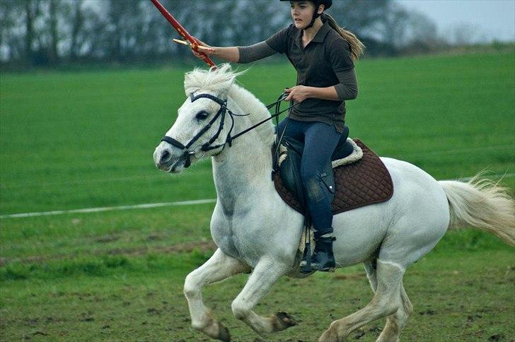 Anden særlig race Filur<3 - Hjørnely Cup 2012.
 billede 5