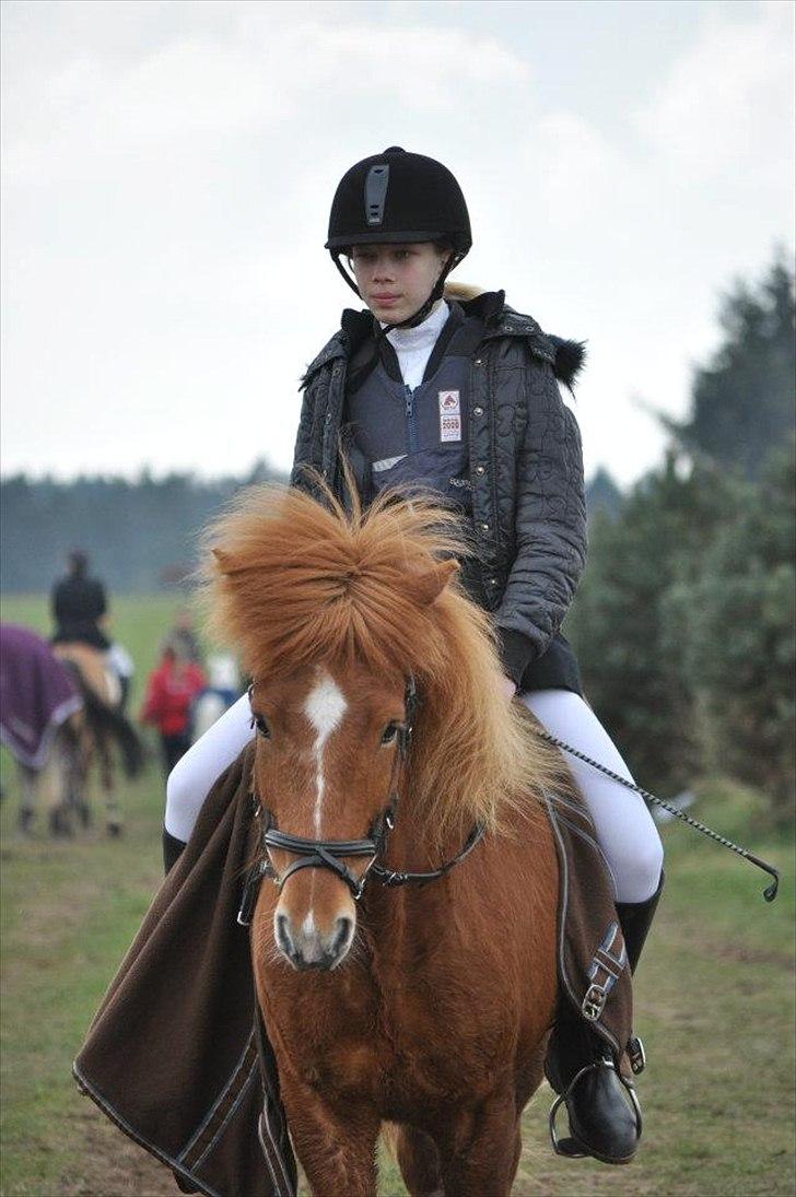 Islænder .:Gaski Fra Stokbro:. .:Perlen: *Mors* - Stæcne på SRLa :D<33

Foto: © LKB © billede 12