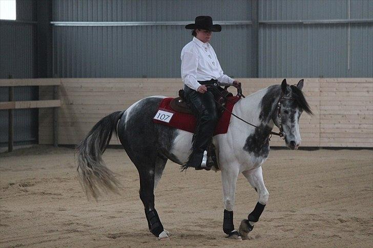 Anden særlig race Skullerup´s Jackpot billede 4