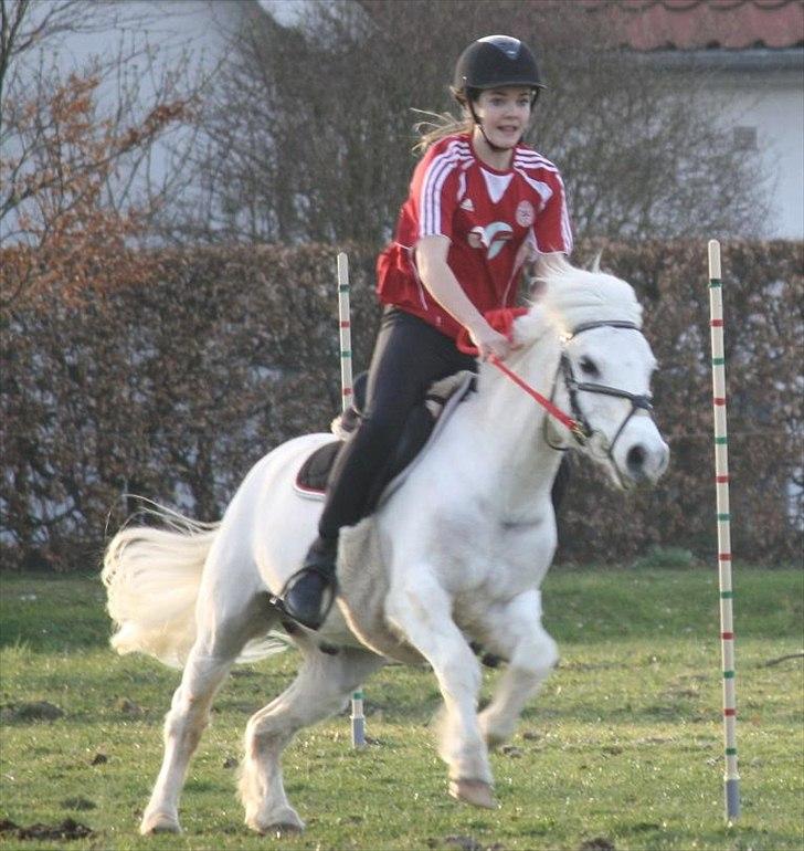 Anden særlig race Filur<3 - Træning
Filur i slalom! <3 billede 7