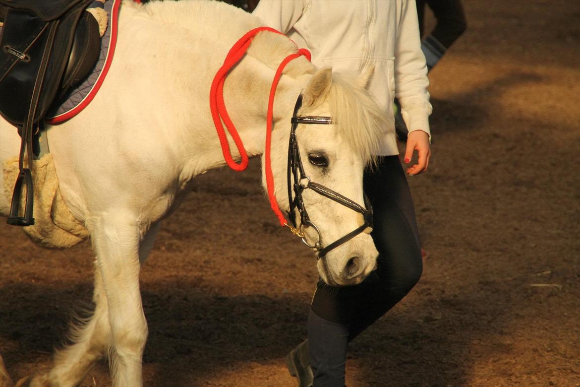 Anden særlig race Filur<3 - Træning med U14
Sweeet!<3 billede 8
