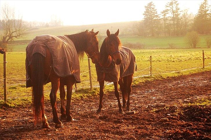 Traver Power Of Roll billede 9