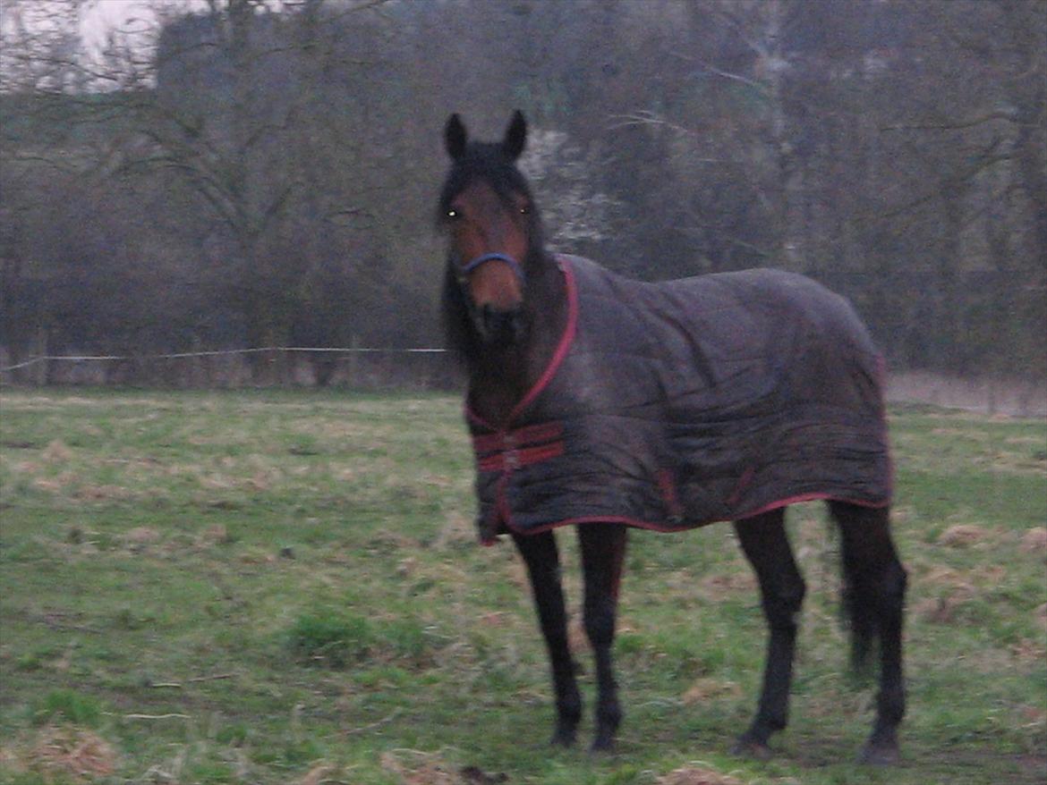 Traver Power Of Roll billede 10