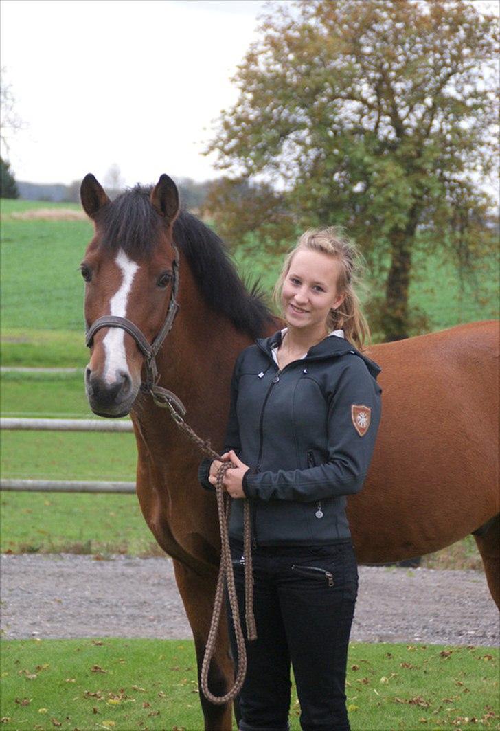 New Forest Fuglekildes macoy - Få dage efter jeg havde fået Coysen hjem. Søde pony <3 billede 4