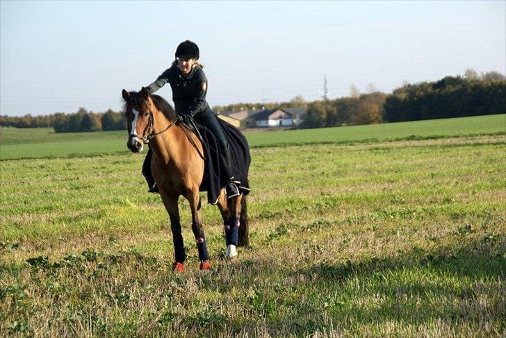 New Forest Fuglekildes macoy - Coooooys <3 <3 billede 8