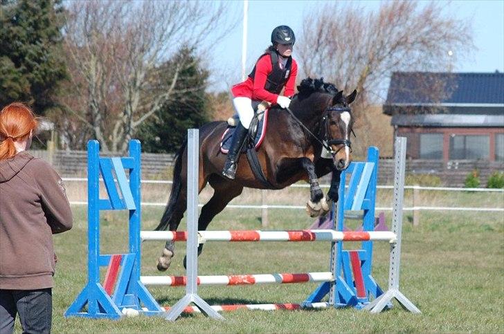 Anden særlig race A'strix - //Foto: Annika Larsen// LE d. 15/4 2012 billede 15