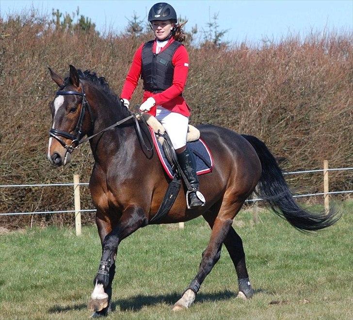 Anden særlig race A'strix - //Foto: Annika Larsen// LE d. 15/4 2012 billede 2