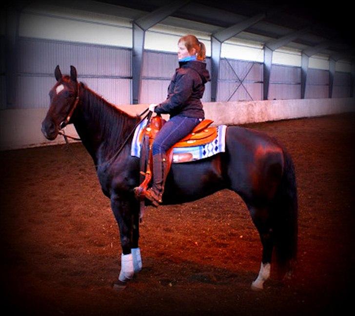 Quarter San Par Vision - Visse og jeg til clinic :) billede 15