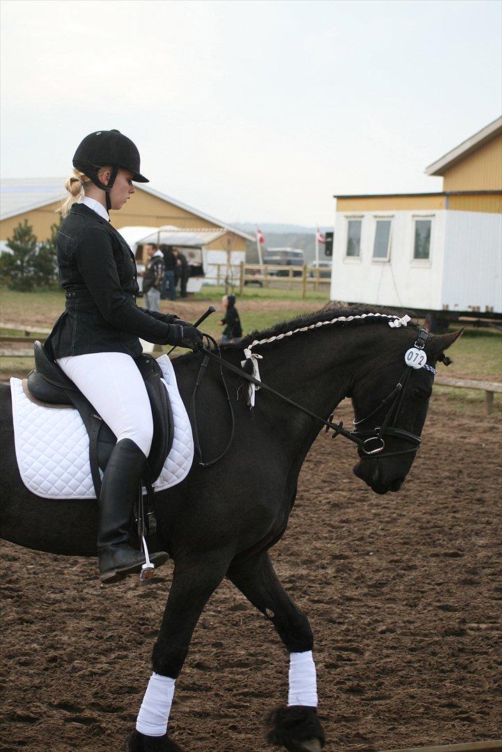 Frieser Jannete R - Stævne i SRLa (april 2012) billede 20