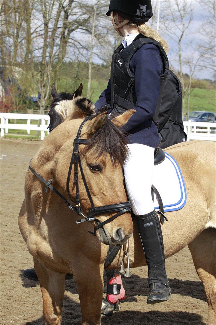 Anden særlig race Luna  - I could follow the rainbow to the end! But i´ll never find a better friend! billede 2