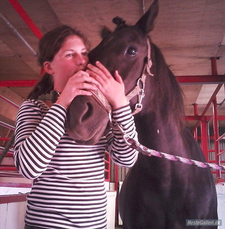 Anden særlig race Anastacia Diniel  - En gang i livet altid i hjertet. Elsker du den pony mere ind noget andet! Elsk.  billede 7