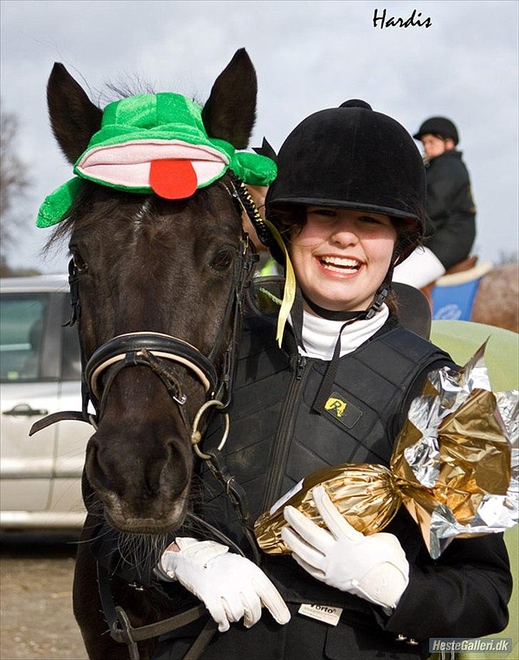 Anden særlig race Anastacia Diniel  - Hvors første stævne en af de bedste dage!!!!  billede 9