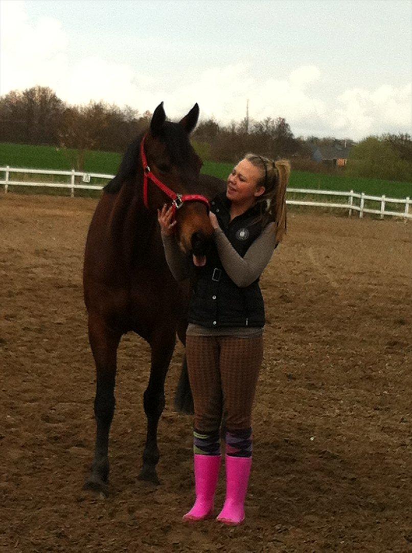 Traver Kenzo - My dream <3 billede 7