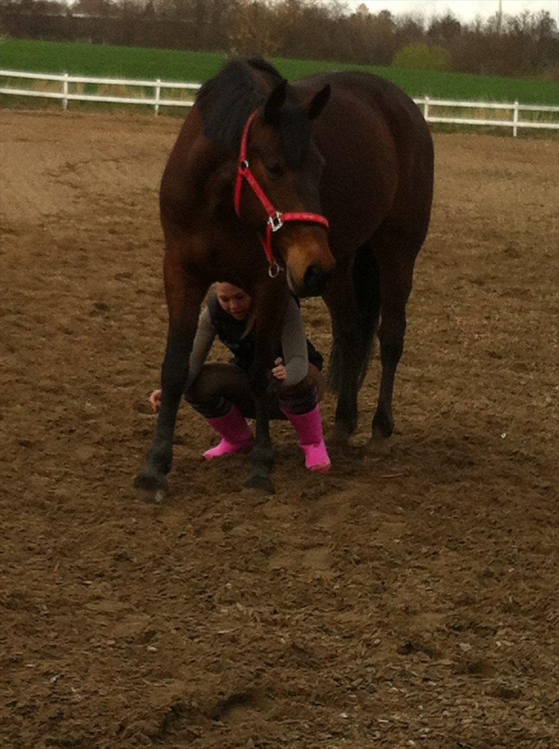 Traver Kenzo - My dream <3 billede 17