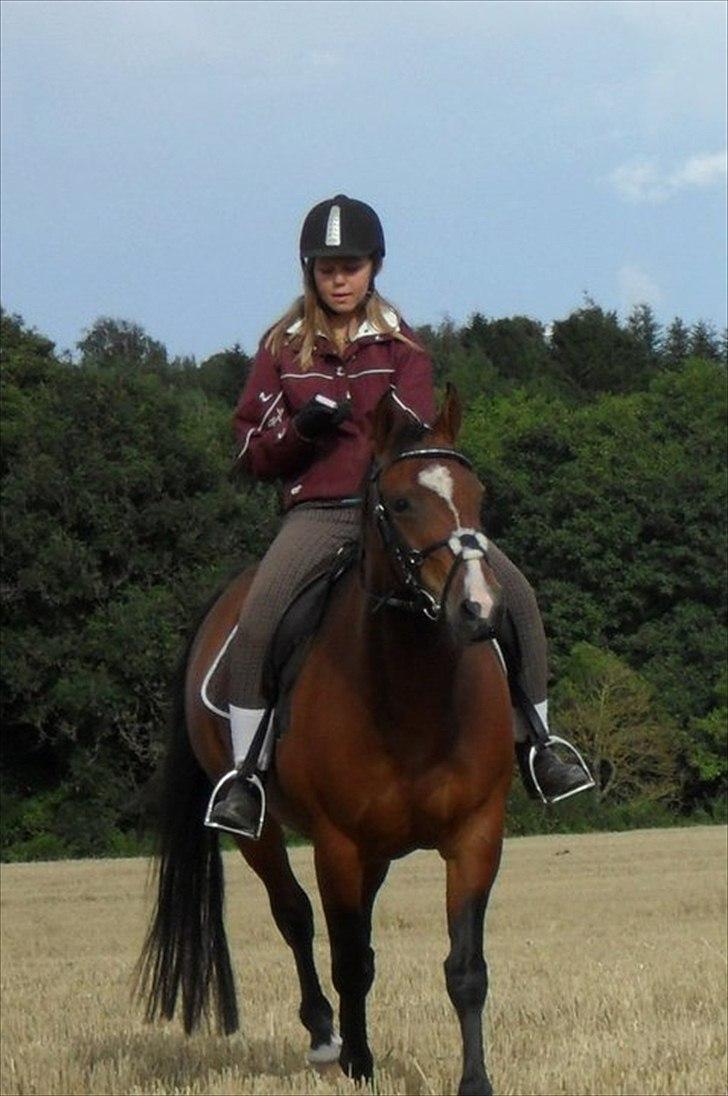 Anden særlig race Maggie billede 1