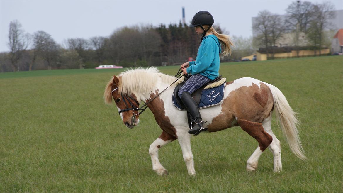 Anden særlig race Grøn Tuborg<3 billede 19