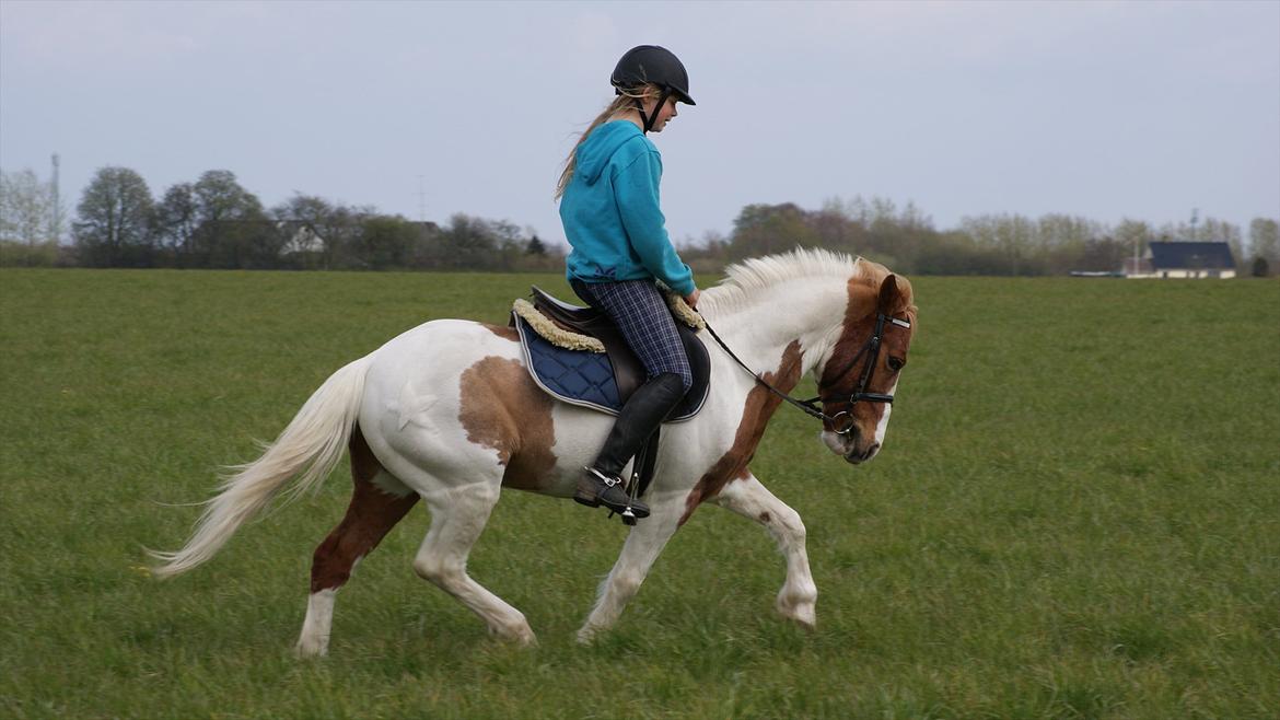 Anden særlig race Grøn Tuborg<3 billede 1