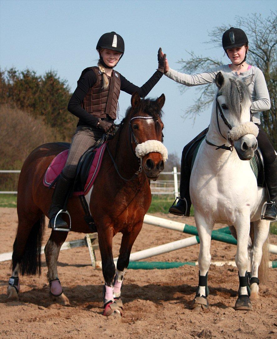 Anden særlig race | Max  * Mulle * - Thea, Mira, Thea og Max ! :D billede 18