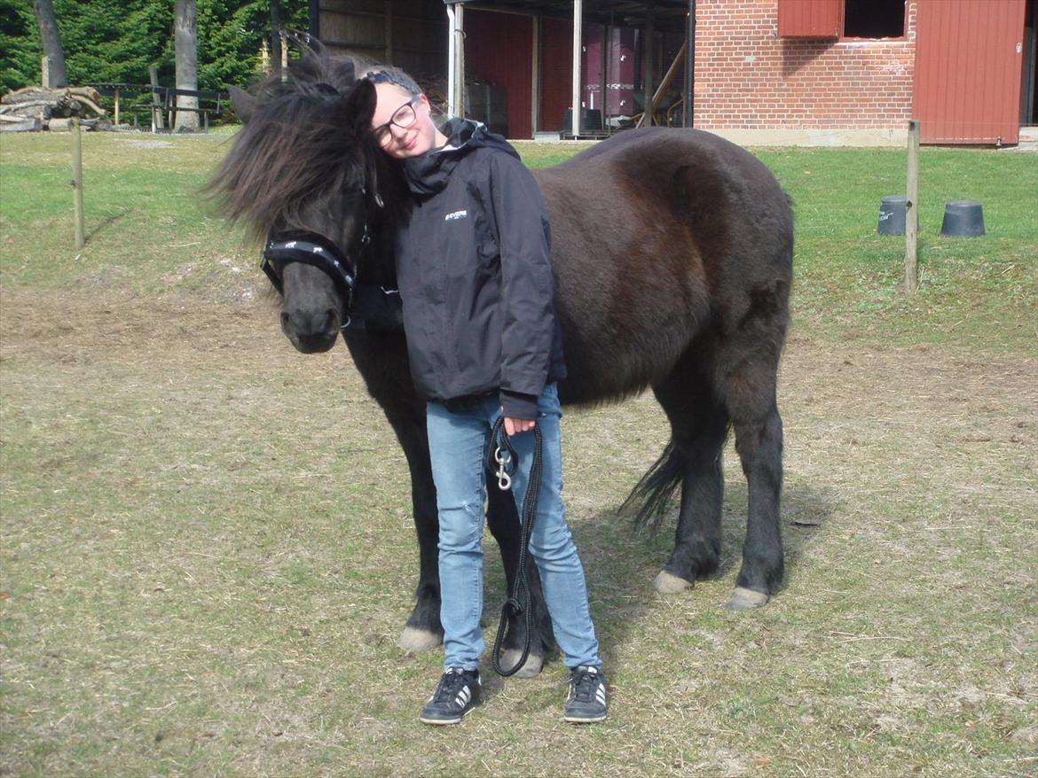 Islænder Yringúr (Ingolf) - Mig og Ingolf. billede 1