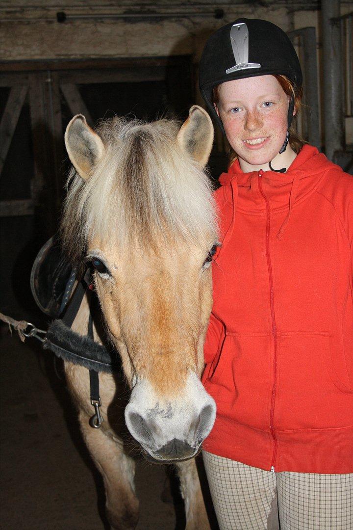 Fjordhest Toby [Har Redet] - Mig og Tobbe<3 billede 16
