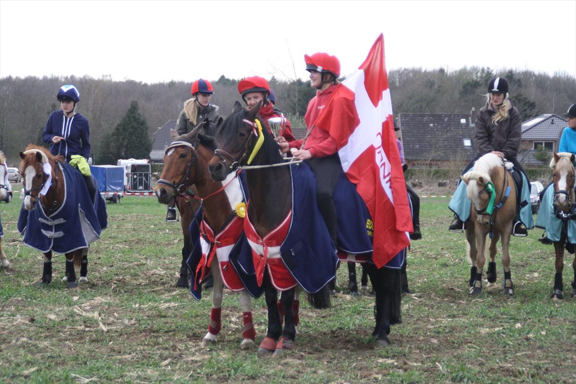 Anden særlig race Mille - vinder af tyske par 2012 billede 20