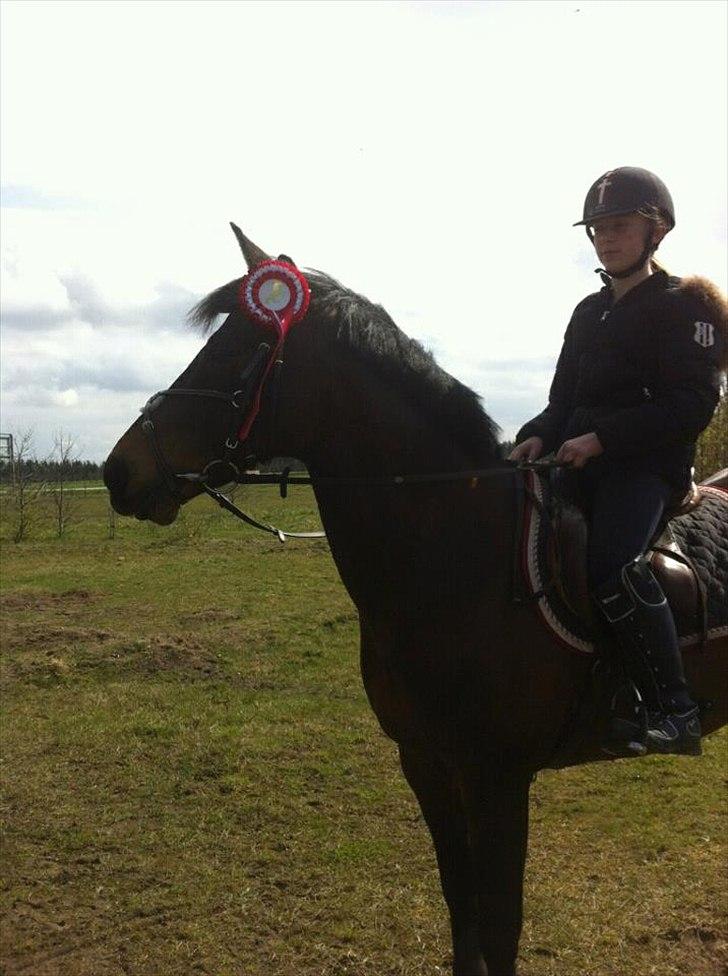 Anden særlig race Jussie - 1 plads på jussie i pony games :-) billede 5