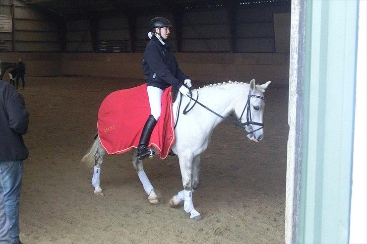 DSP Siska Bredager billede 16