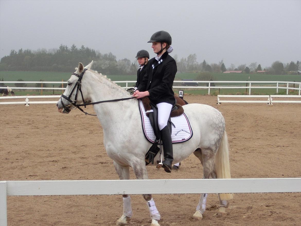 DSP Siska Bredager billede 18