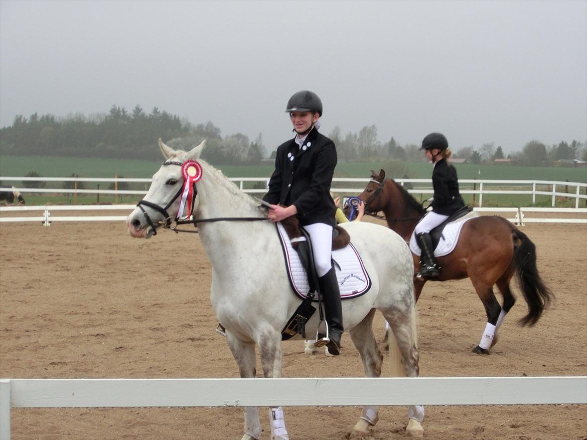 DSP Siska Bredager billede 20