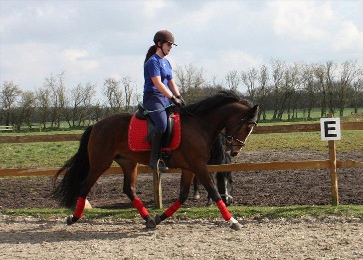 New Forest Holmens Rebus - Rebus April 2012 !!
Foto: Tulle billede 3