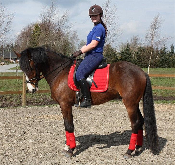 New Forest Holmens Rebus - Rebus April 2012 !!
Foto: Tulle billede 6