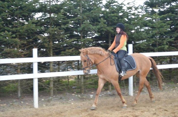 Anden særlig race Soffy. Tidligere part billede 3