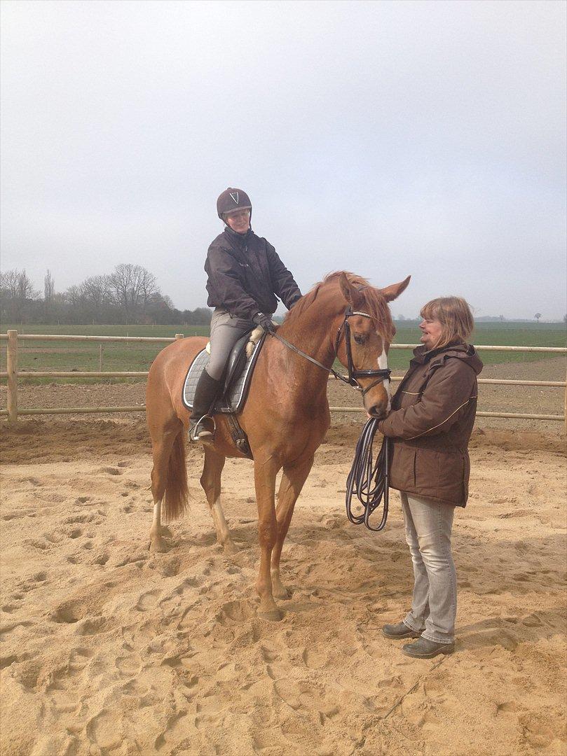 Anden særlig race Charlatan <3 - Charlatan og Pernille. "Se mig, er jeg ikke bare sød?" :-D billede 10