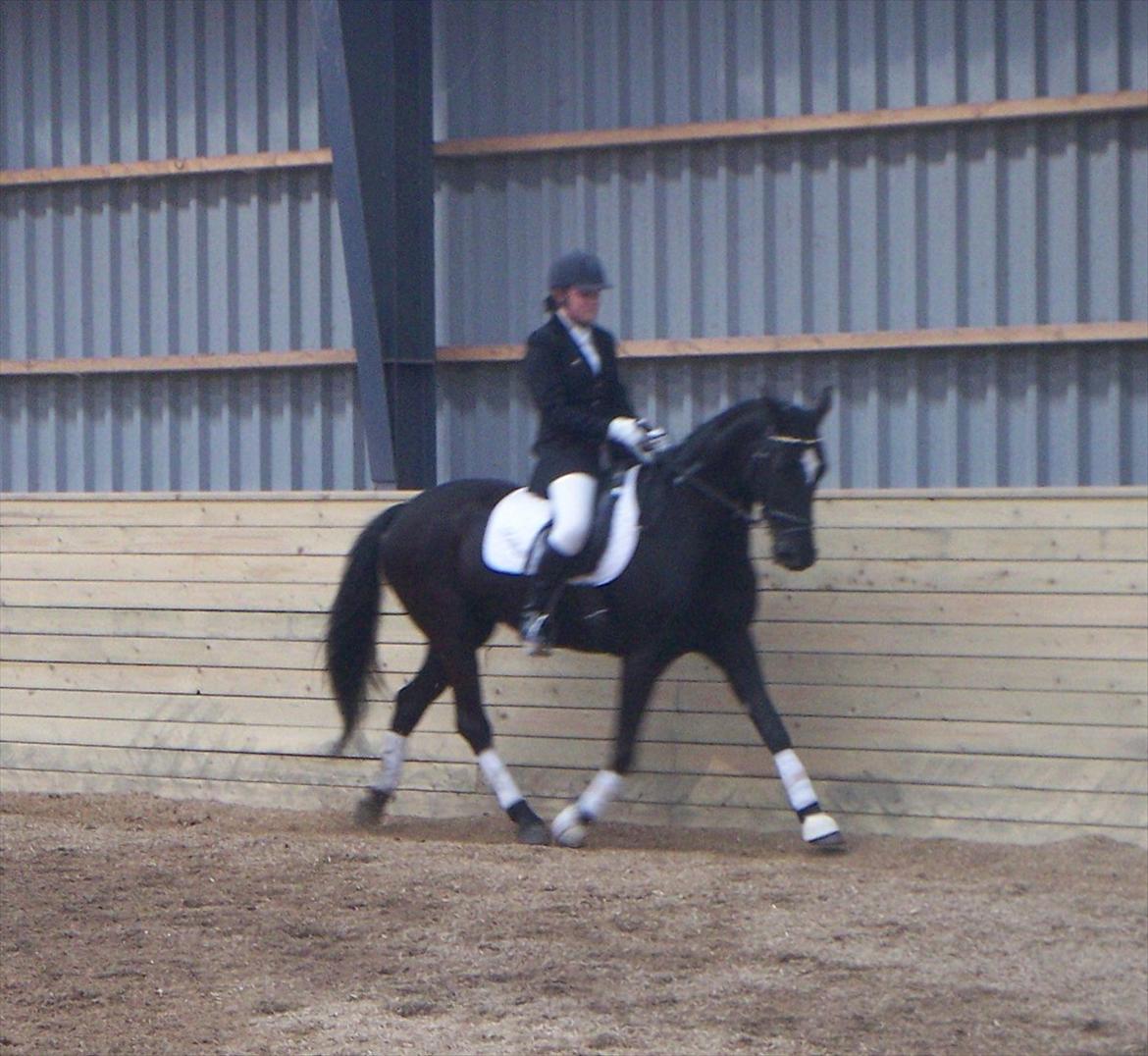 Standardbred Casino billede 4
