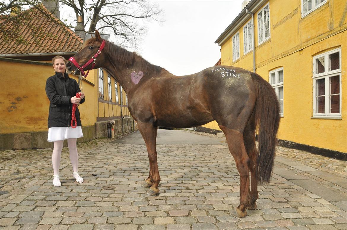 Anden særlig race Quidam - Den smykke quidam kom op i kirken, med smyk udsmykning. Tudsinde tak til Christine og Pia, for at i ville komme op med hende :* billede 13