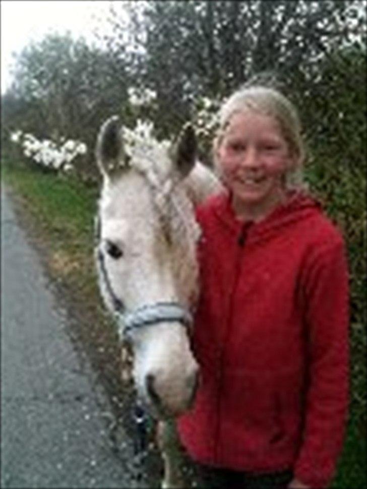 Anden særlig race Andy billede 14